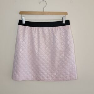 LOFT | Pale Pink Shimmery Metallic Mini Skirt Size 6